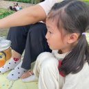 「숲속열린음악회 with 이현공원 노을 로이킴 & 유다빈밴드」 이미지