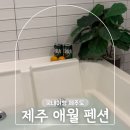 제주29애월풀빌라B | 제주 애월 풀빌라 펜션 가족여행 숙소 추천 더휴