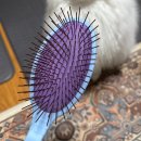 샵 세린파크 이미지