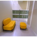 퍼피캣동물병원 | 인천강아지분양 홍스퍼피 방문 후기 - 무료분양·동물병원 연계까지 완벽