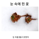 경남기독문인회 7차 청지기 3, 김일연목사 이미지