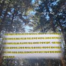 로빈스 | 렛뎀이론 책 | 멜 로빈스 책 후기 | 비교의 지옥에서 탈출하는 법 추천 리뷰 핵심 요약