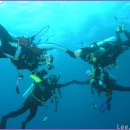 말라파스쿠아 다이빙 여행...9 이미지