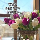 벌막공원 이미지