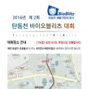 탄동천-2 이미지