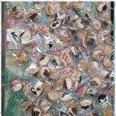 꼬마화가미술학원 이미지