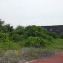 01-17 동구 이미지