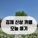 SNS 보고 다녀온 김제 오늘여기🌼 애견동반 꽃카페 후기