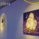 미니헤어 이미지