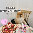 서울 홍대입구역 연남동 - 귀여운 디저트가 가늑한 실내 애견동반 카페 “메리트리”