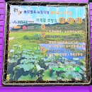 봉강별곡 이미지