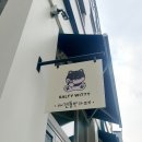 솔티위티 이미지