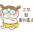 한탄강소나무캠핑 이미지