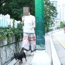 후석로 뉴시스