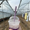 더벤티 김천아포점 이미지