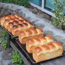 이레하우스 이미지