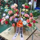 푸른꽃방 | 통영 수련꽃방 후기, 개업 축하 꽃바구니와 관엽식물 준비했어요