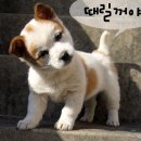 히히 - 고양시 일산서구 대산로 162 | 히히