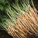 이선호농장 이미지