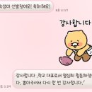 [대사협]50기 WFK 해외봉사 청년봉사단 지원서 캄보디아 답변 스펙 합격후기 / 동국대학교