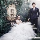 파인위드 이미지