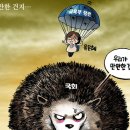 만평 이미지