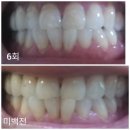 부영탕 이미지