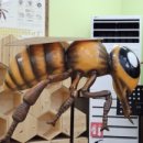 동원양봉원 이미지