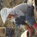 햇살 농장 이미지