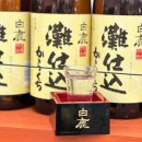 먼마루 벚꽃거리 문 | 교토 당일치기 여행 | 후시미 이나리 신사, 청수사, 산넨자카 니넨자카_벚꽃여행 버스투어 후기