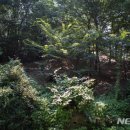 창원 내동패총 이미지