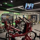 팀터틀랫 양산범어점 이미지