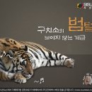 ​개털과 범털의 차이.​ 이미지