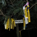 신 낙남정맥 1구간 (돌고지재~배치고개) 상 이미지