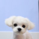 킨더그루밍 이미지