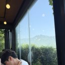 톰아저씨트리하우스