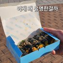 김밥이놈 | 여수 분식맛집 바다김밥 예약 택배 가능 여부 및 갓김치김밥 후기