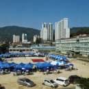 포천초교 이미지