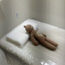 진진왁싱 | 왕십리 진진왁싱 눈썹왁싱 후기｜유지기간 통증