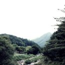 국화향기펜션 이미지