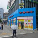 보룡약국 | 먹골역 보룡약국 심장사상충약 넥스가드 스펙트라 저렴한 약국 유한양행 비타민C까지 내돈내산 후기