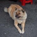 용산 선인전자상가 이미지