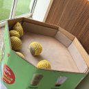 두정상가8길 이미지