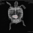 강내동물병원 이미지