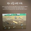 홍천박물관 이미지