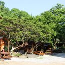 지리산물길따라펜션 이미지