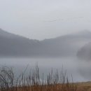 신흥3농장 이미지