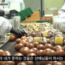 주식회사 이담엔터테인먼트 이미지