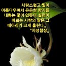 불교 기도의 특징 이미지