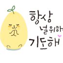 한줌엑스퍼트 네이버블로그